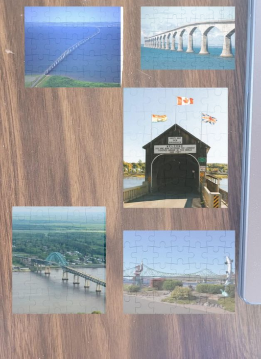 custom photo puzzles 35 pieces